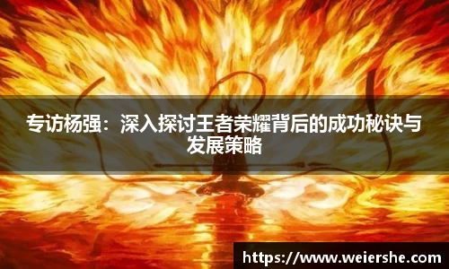 专访杨强：深入探讨王者荣耀背后的成功秘诀与发展策略
