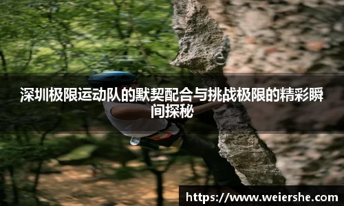 星空体育平台app
