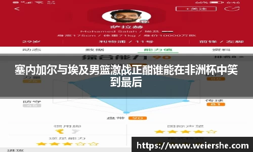 星空官网